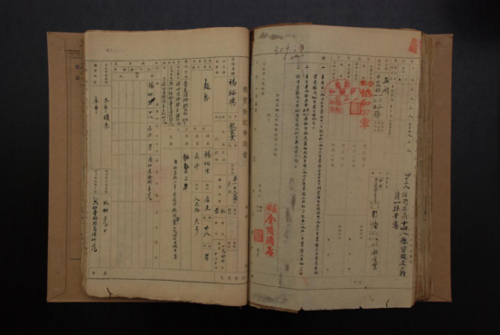 杨顺德2.png