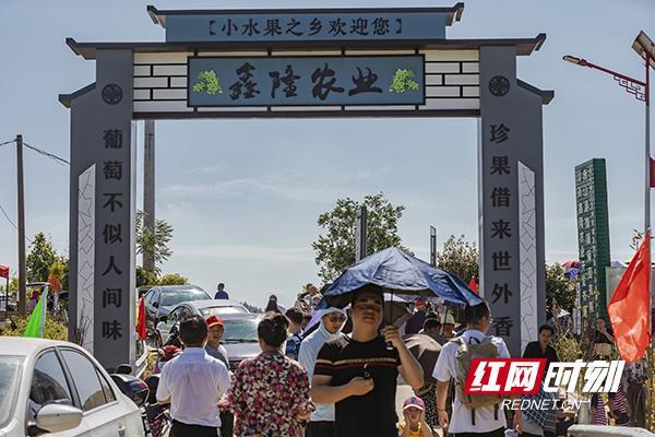 水果5.jpg