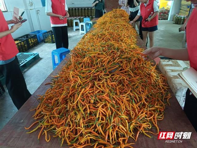 黄贡椒.jpg