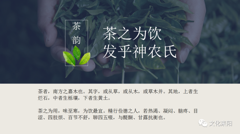 贡茶8.png