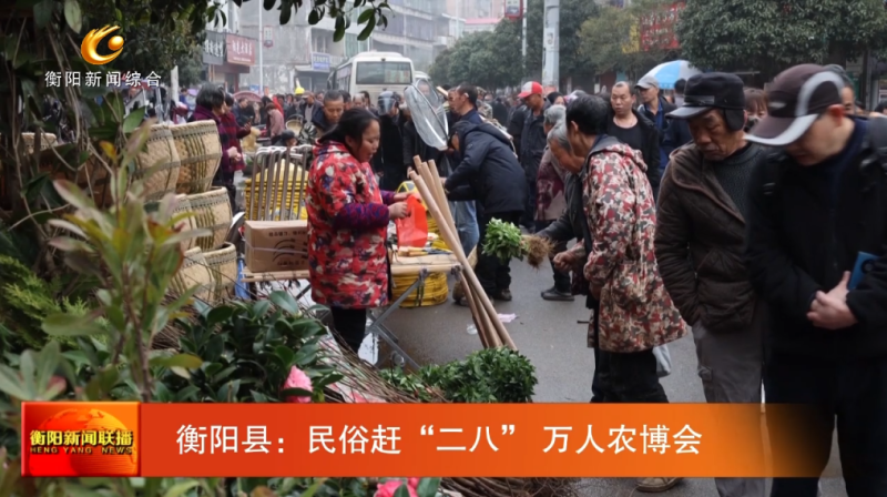 二八2.png