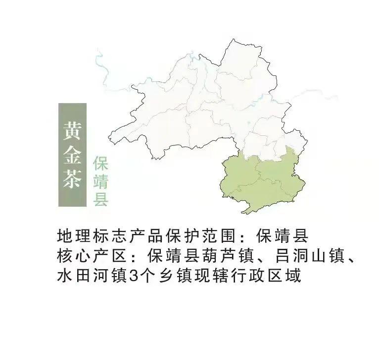 网红9.jpg